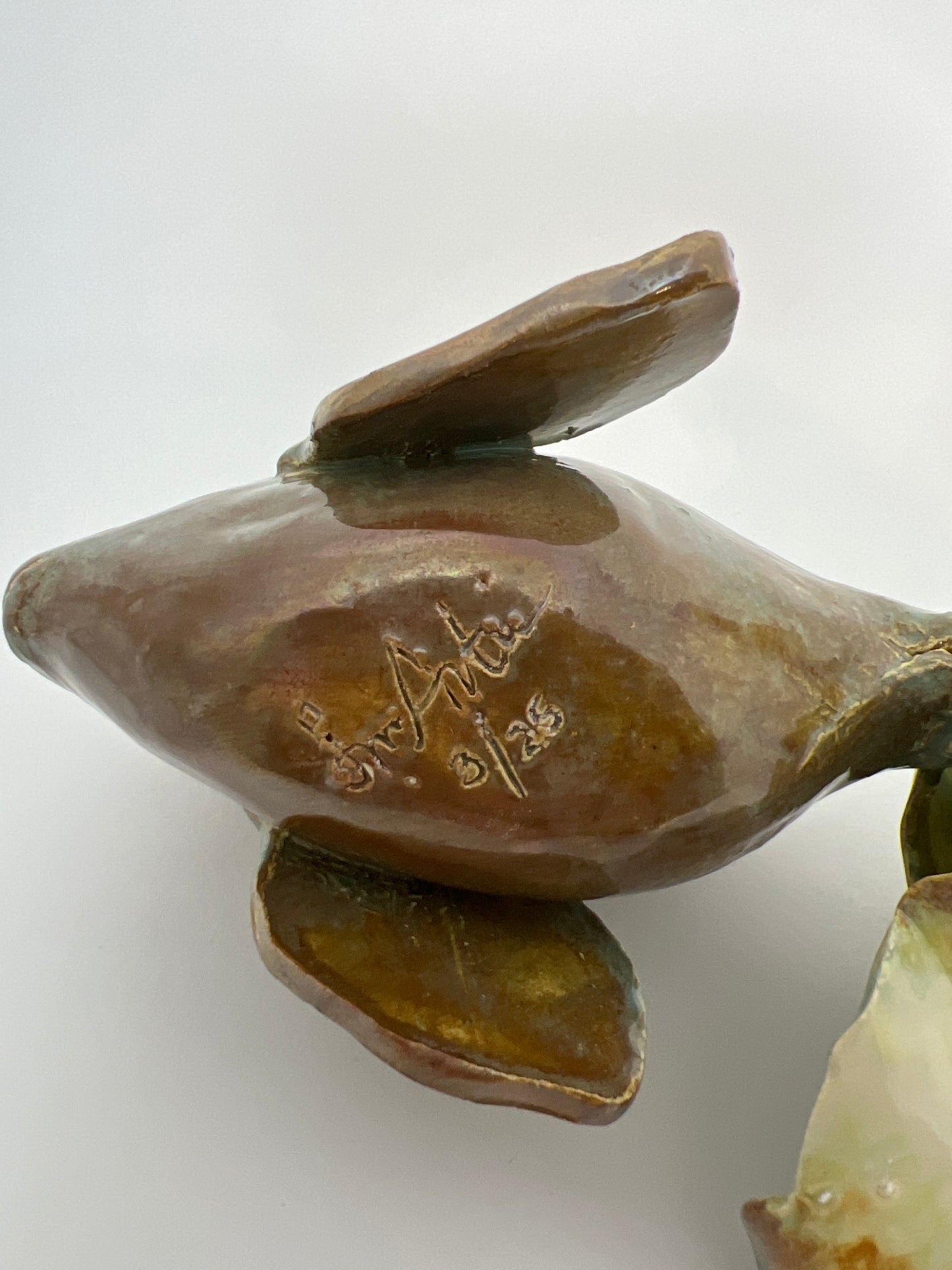 Turtle Shell Fish: Wave Series