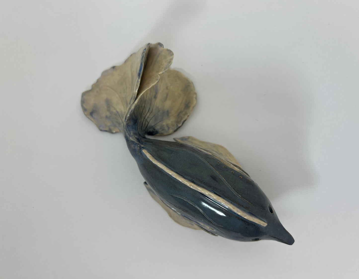 Blue Grotto Fish: Wave Series