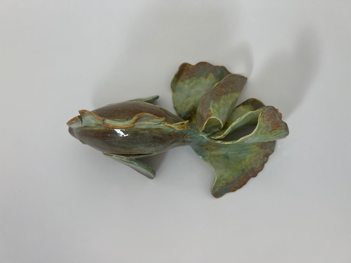 Turtle Shell Fish: Wave Series